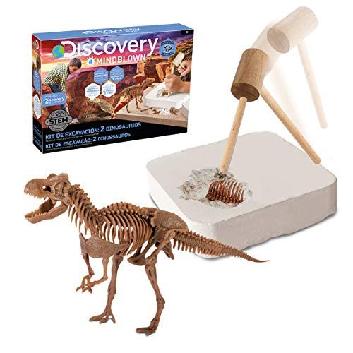 Discovery- Kit Juguete, Juego arqueologÃ­a, arqueojugando, excavaciones fosiles, Esqueletos, desenterrar Dinosaurios (6000445)